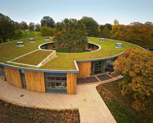 Can biochar be used to improve green roofs