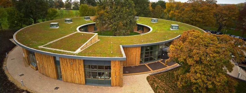 Can biochar be used to improve green roofs