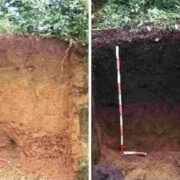 What is Amazonian Dark Earth (ADE) also known as Terra Preta