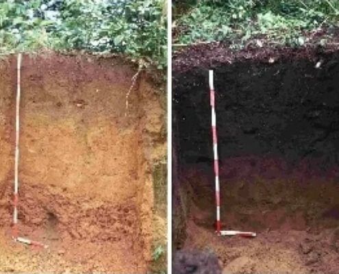 What is Amazonian Dark Earth (ADE) also known as Terra Preta