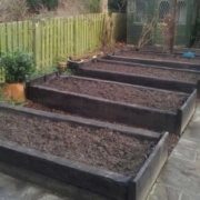 Biochar and SF60 Application Rates