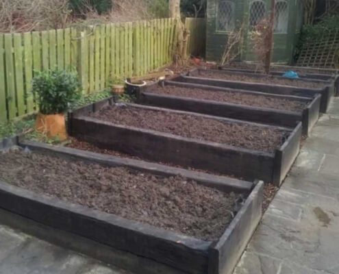 Biochar and SF60 Application Rates