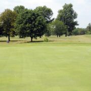 Biochar for Golf Greens and Garden Lawns