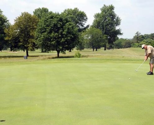 Biochar for Golf Greens and Garden Lawns