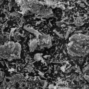 Biochar for water and gas filtration