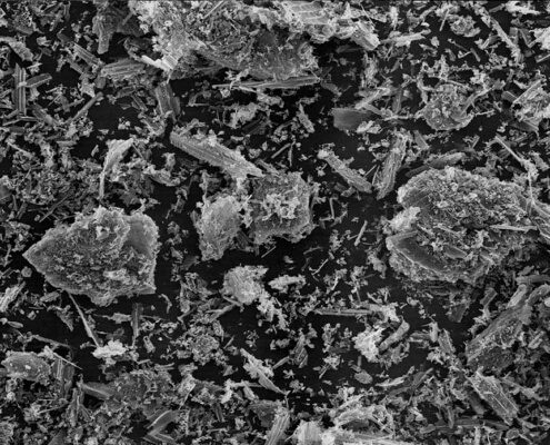 Biochar for water and gas filtration