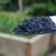 How to Activate and Inoculate Biochar