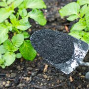 Improve soil health ahead of the growing season