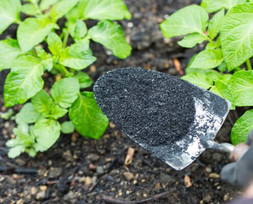 Improve soil health ahead of the growing season