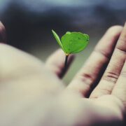 Is Biochar Sustainable