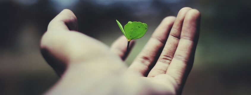 Is Biochar Sustainable