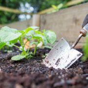 Making a fantastic raised bed, container compost mix