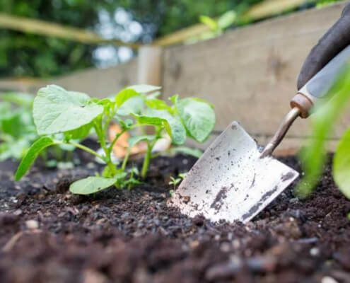 Making a fantastic raised bed, container compost mix