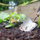 Making a fantastic raised bed, container compost mix