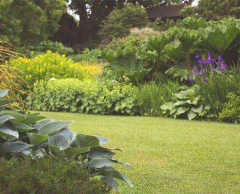 Spring Lawn Care