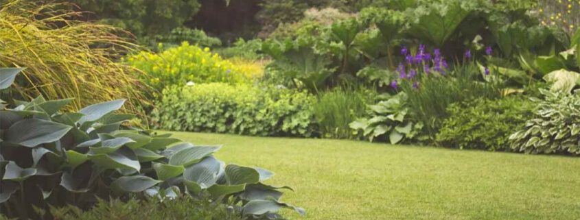 Spring Lawn Care