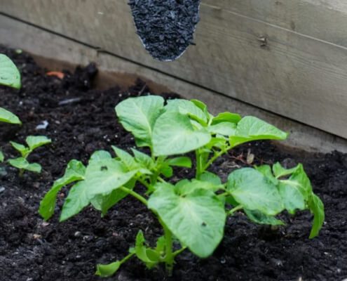 SF60 Super Compost