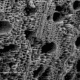 Microscopic biochar pore structure showing how biochar supports soil health and microbial life